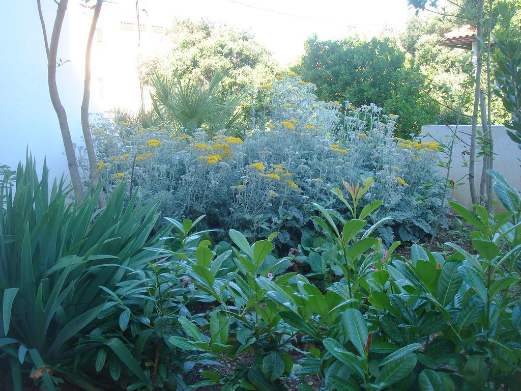 Laurus I Apartment Kozino