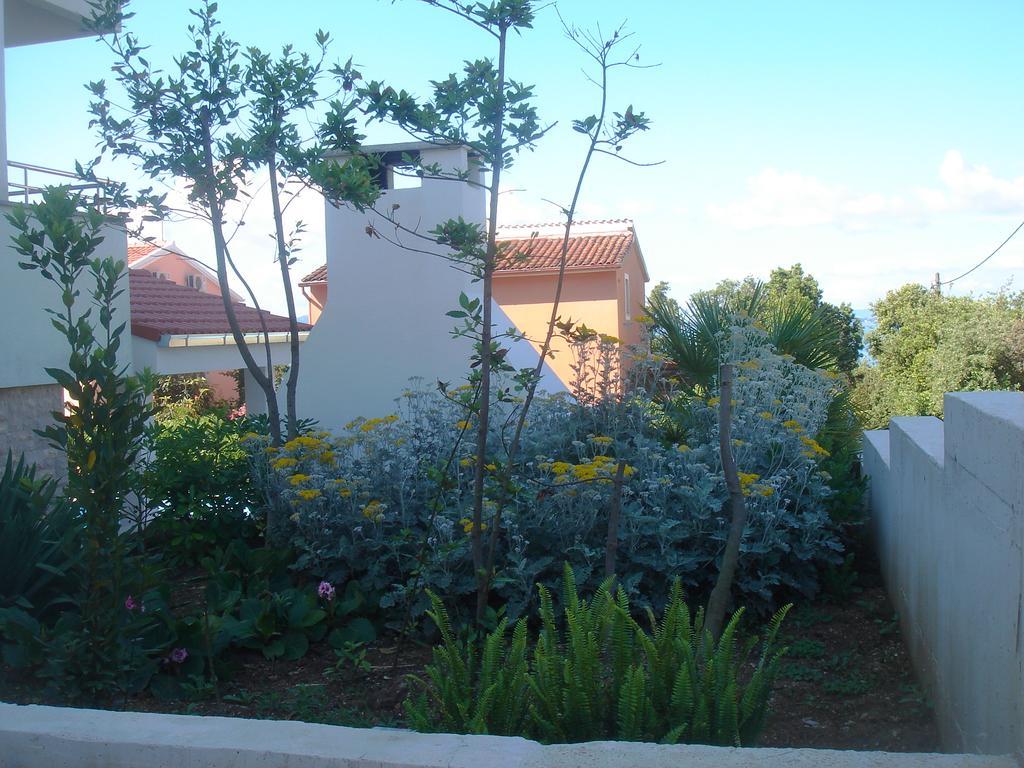 Laurus I Kozino