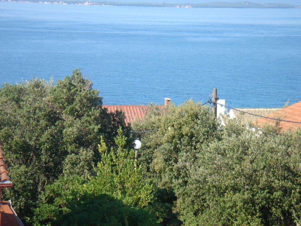 Laurus I Kozino