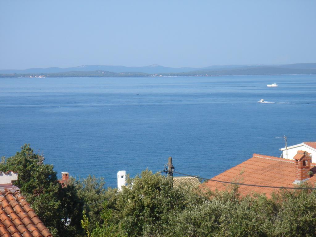 Laurus I *
