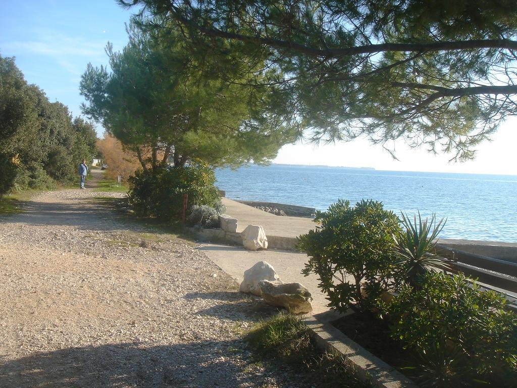 Laurus I