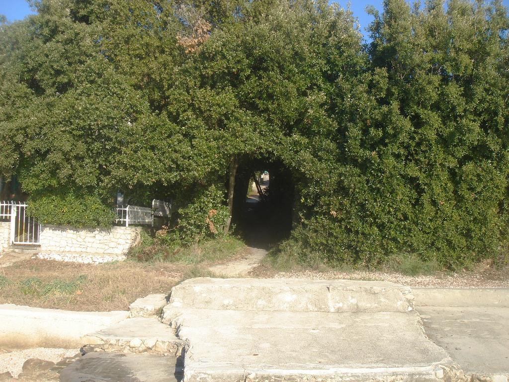 Apartment Laurus I